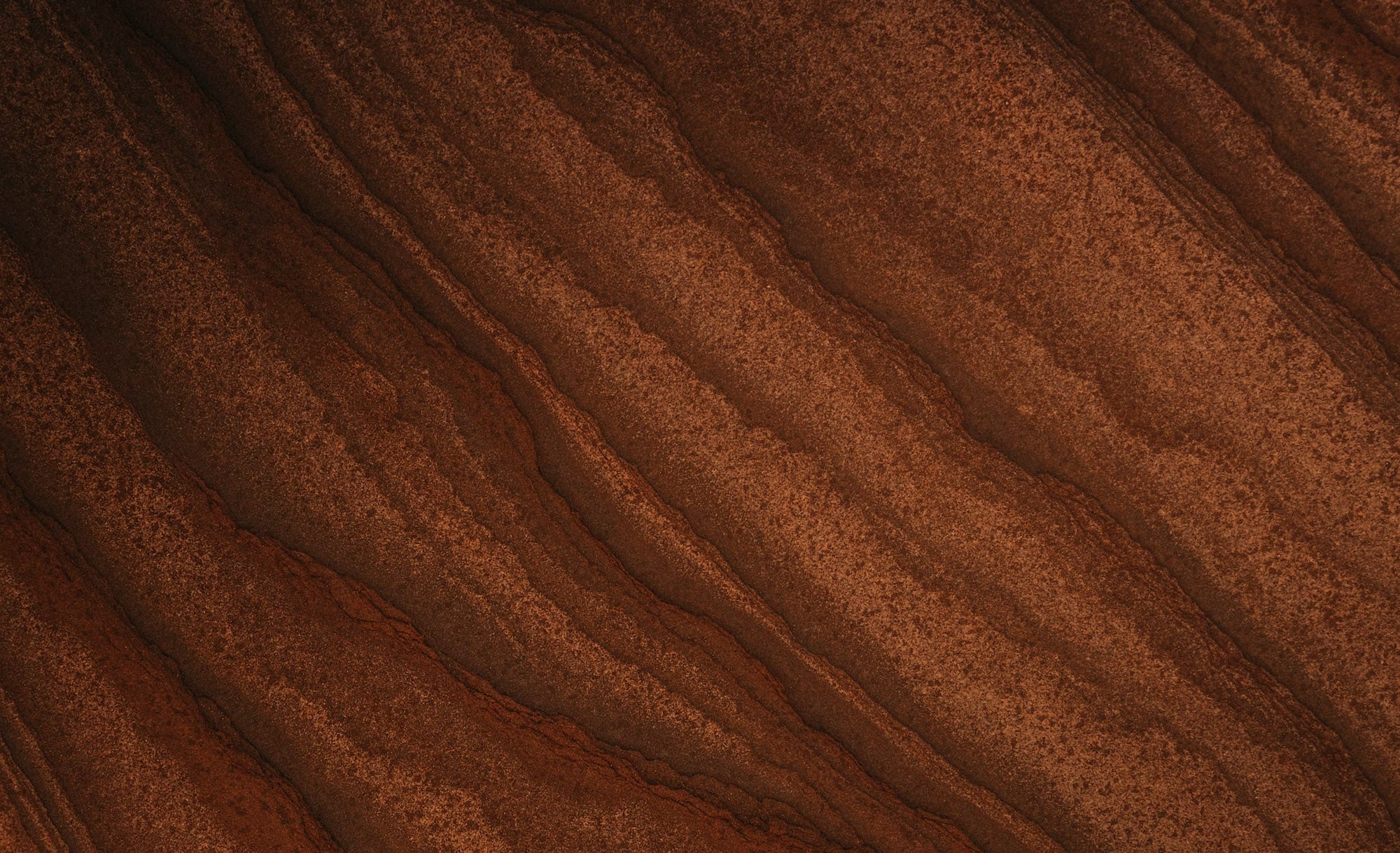 Image de texture marrons